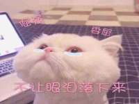 上海湖纱金属材料有限公司