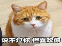上海湖纱金属材料有限公司