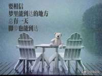 上海湖纱金属材料有限公司