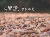 上海湖纱金属材料有限公司