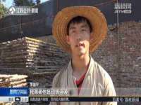 上海湖纱金属材料有限公司