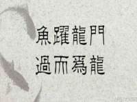 上海湖纱金属材料有限公司