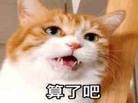 上海湖纱金属材料有限公司