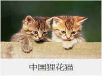 上海湖纱金属材料有限公司