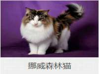 上海湖纱金属材料有限公司