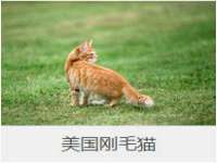 上海湖纱金属材料有限公司