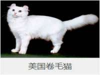 上海湖纱金属材料有限公司