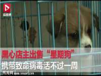上海湖纱金属材料有限公司