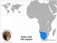 上海湖纱金属材料有限公司