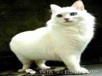 上海湖纱金属材料有限公司