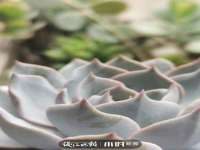 上海湖纱金属材料有限公司