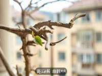 上海湖纱金属材料有限公司