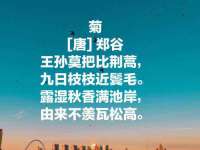 上海湖纱金属材料有限公司