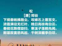 上海湖纱金属材料有限公司