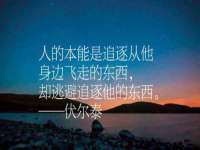 上海湖纱金属材料有限公司
