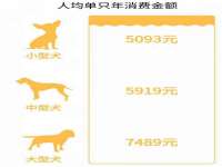 上海湖纱金属材料有限公司