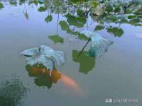 上海湖纱金属材料有限公司