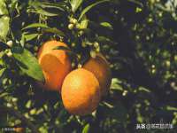 上海湖纱金属材料有限公司