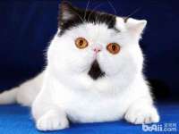 上海湖纱金属材料有限公司