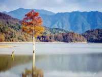 上海湖纱金属材料有限公司
