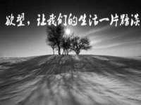 上海湖纱金属材料有限公司