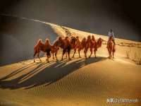 上海湖纱金属材料有限公司