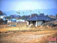 上海湖纱金属材料有限公司
