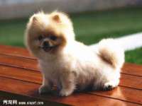 上海湖纱金属材料有限公司